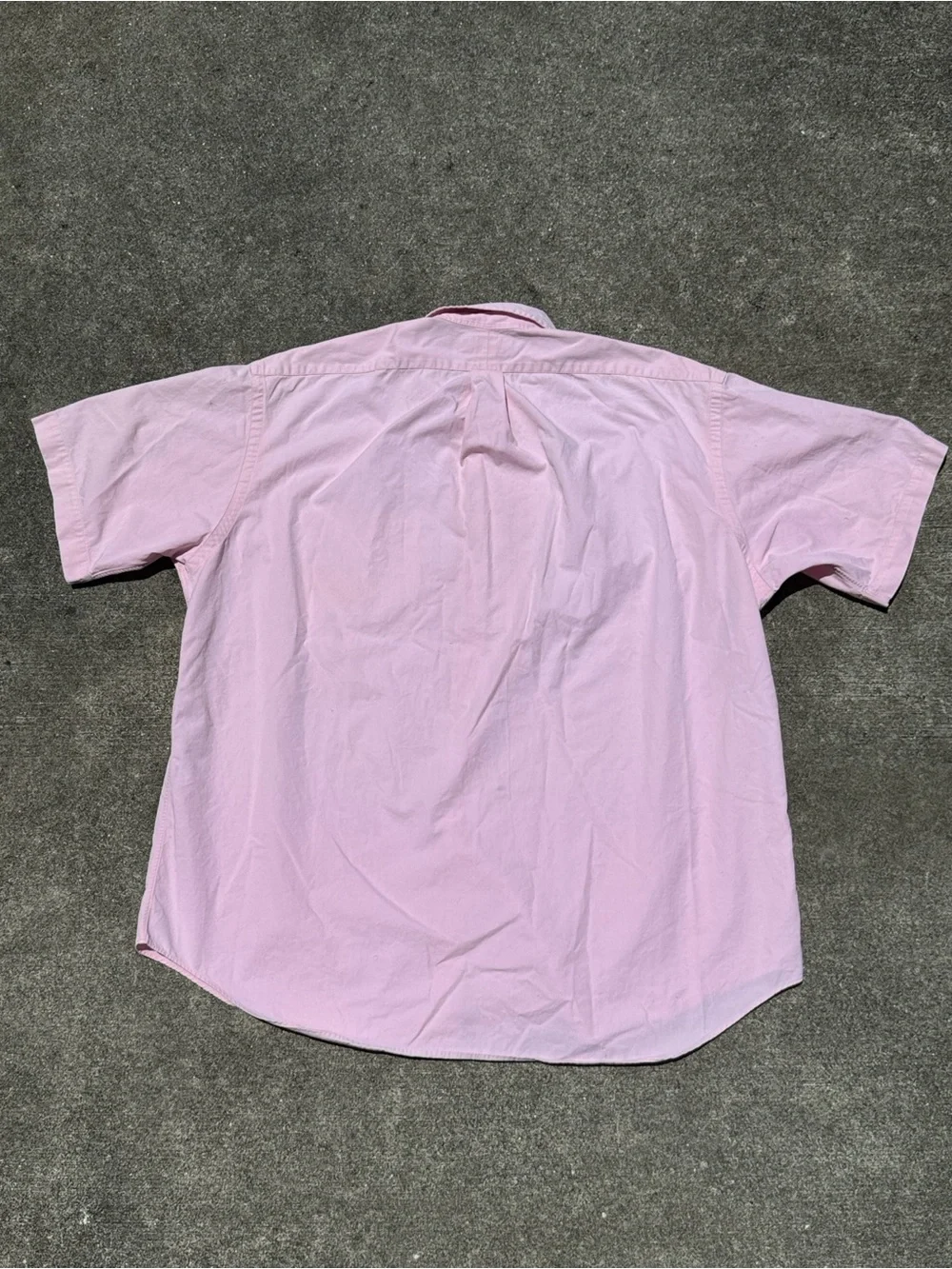Polo Ralph Lauren color many